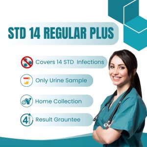 STD 14 Infections Regular plus